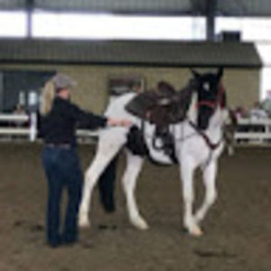 Meet your Posher, Cati